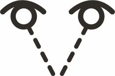 Binocular Eye Model